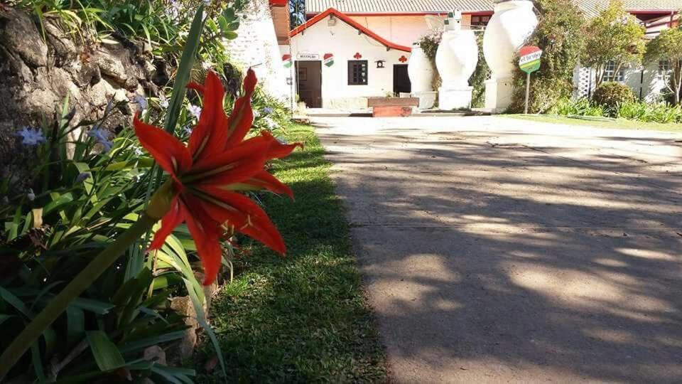 Pousada El Brujo Monte Verde  Exteriér fotografie